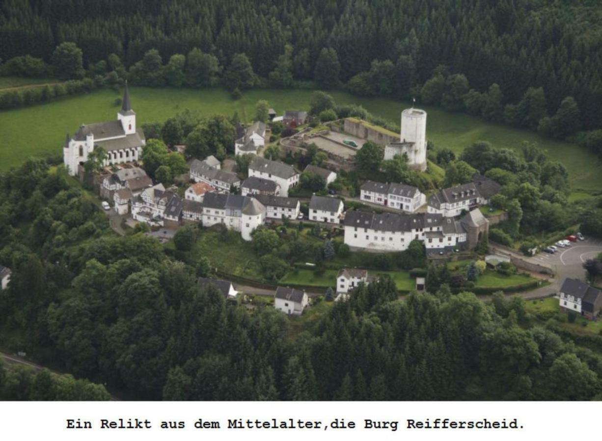 Ferienwohnung Gross B Schleiden Bagian luar foto