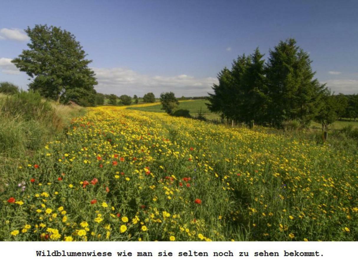 Ferienwohnung Gross B Schleiden Bagian luar foto
