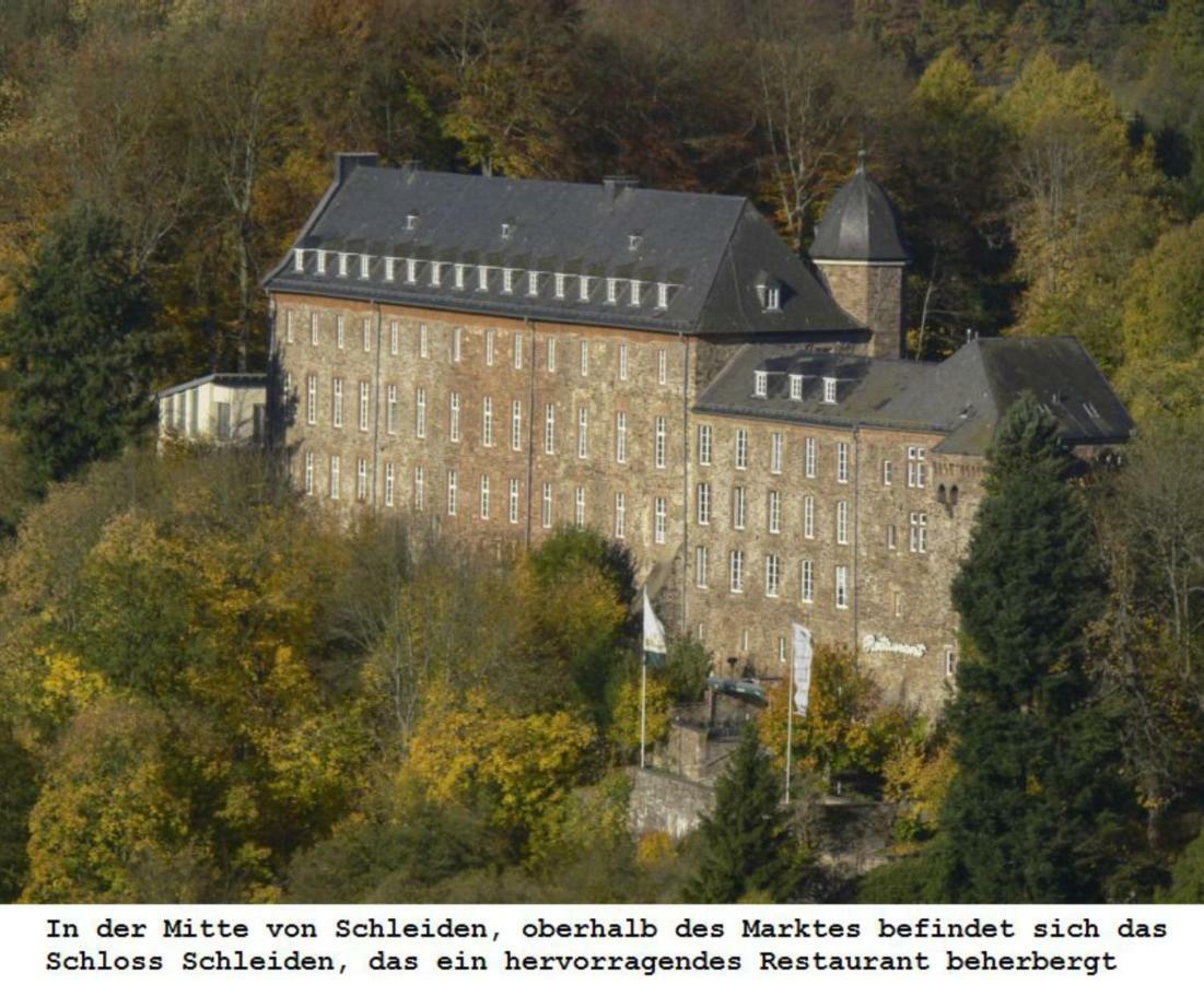 Ferienwohnung Gross B Schleiden Bagian luar foto