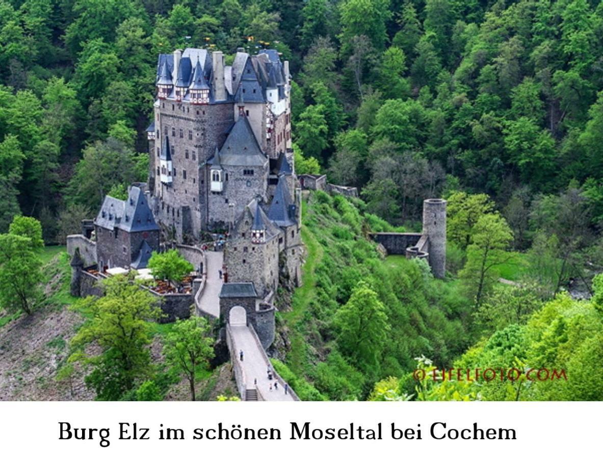 Ferienwohnung Gross B Schleiden Bagian luar foto