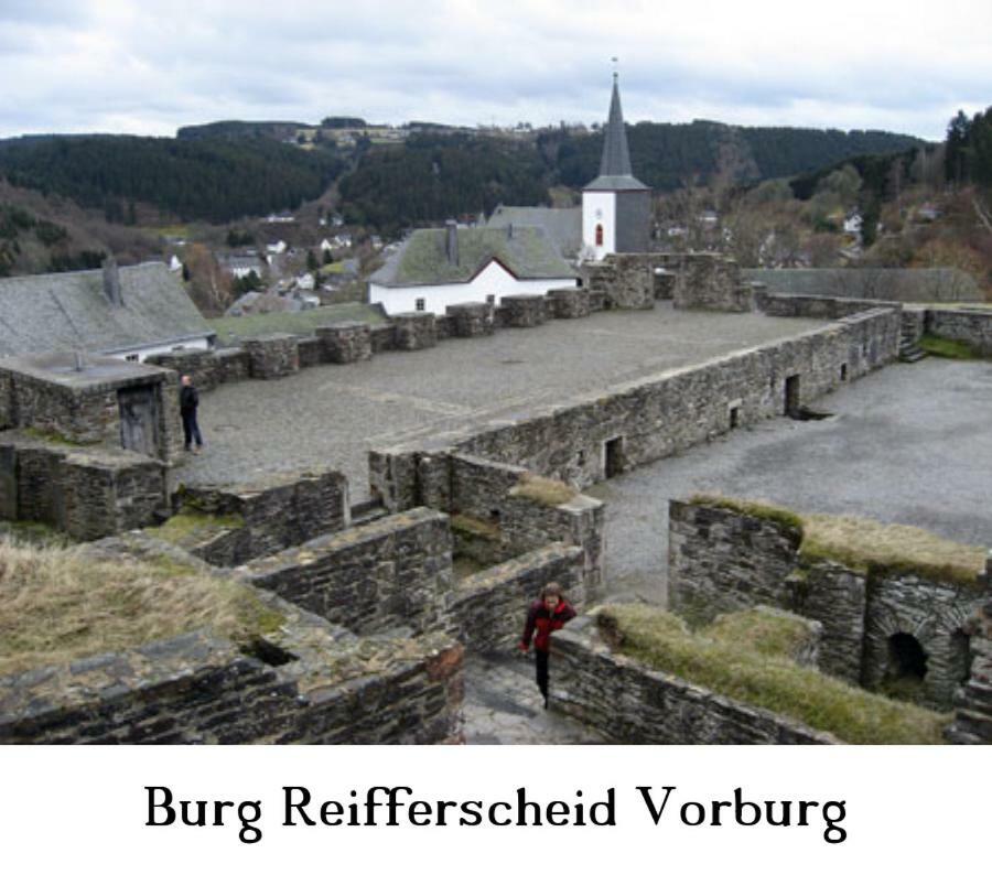 Ferienwohnung Gross B Schleiden Bagian luar foto