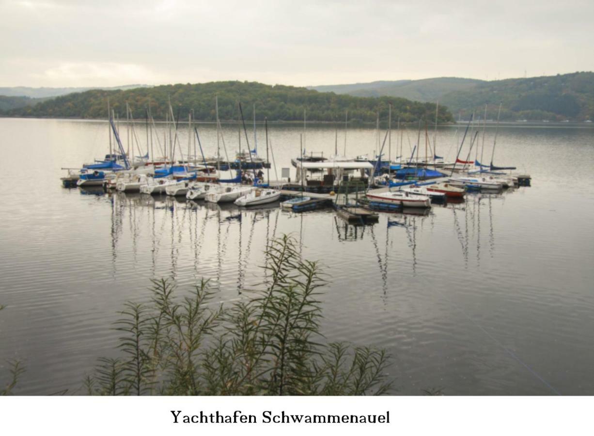 Ferienwohnung Gross B Schleiden Bagian luar foto