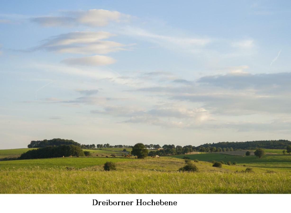 Ferienwohnung Gross B Schleiden Bagian luar foto