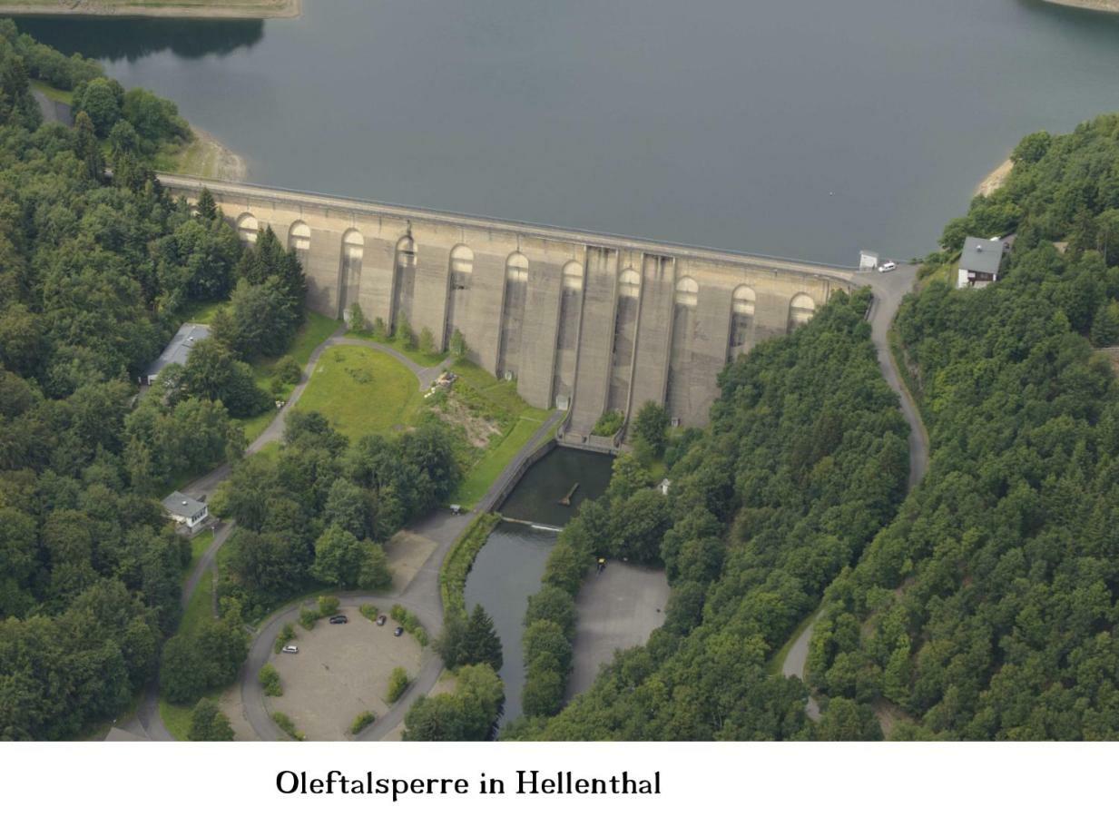Ferienwohnung Gross B Schleiden Bagian luar foto