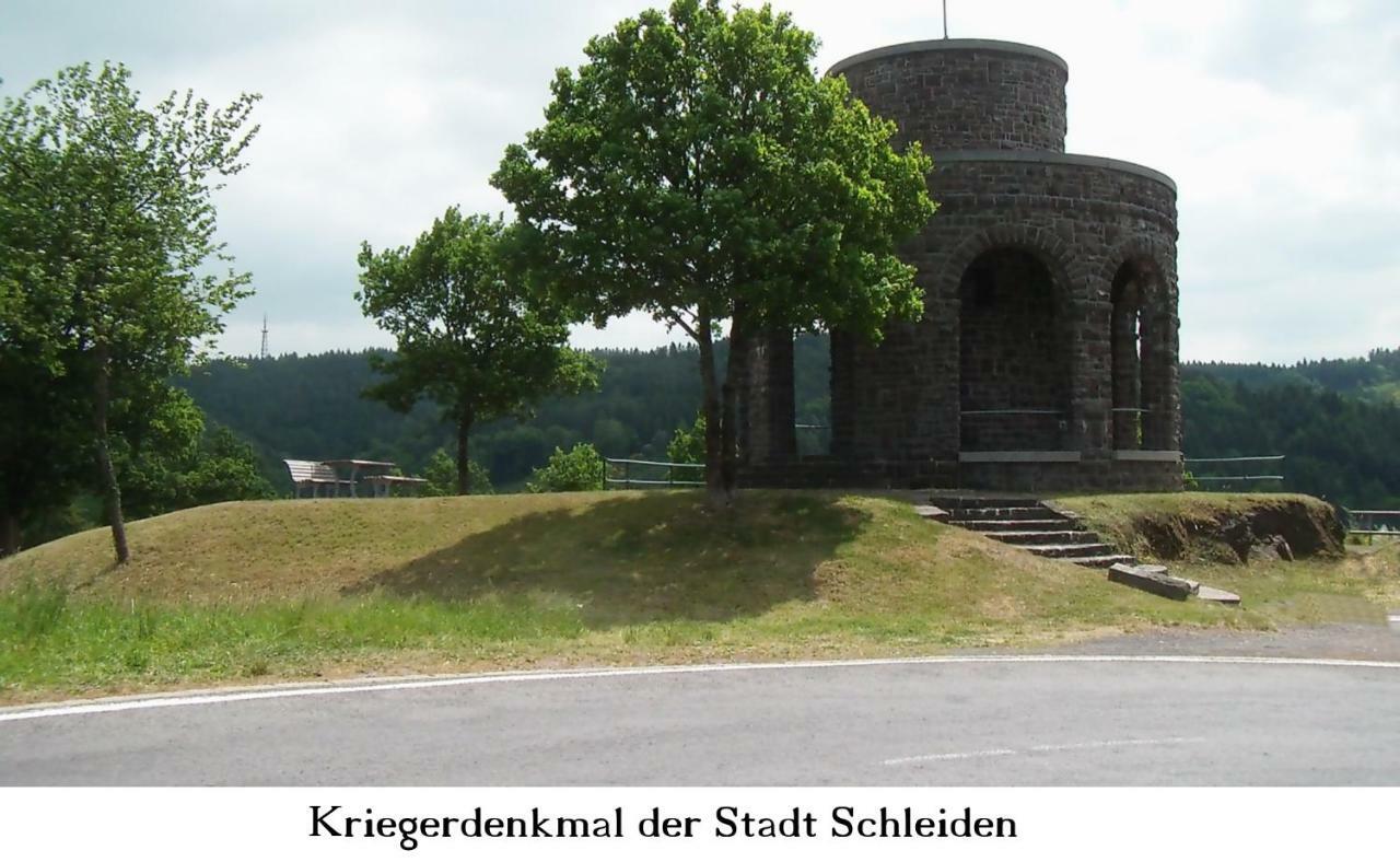 Ferienwohnung Gross B Schleiden Bagian luar foto